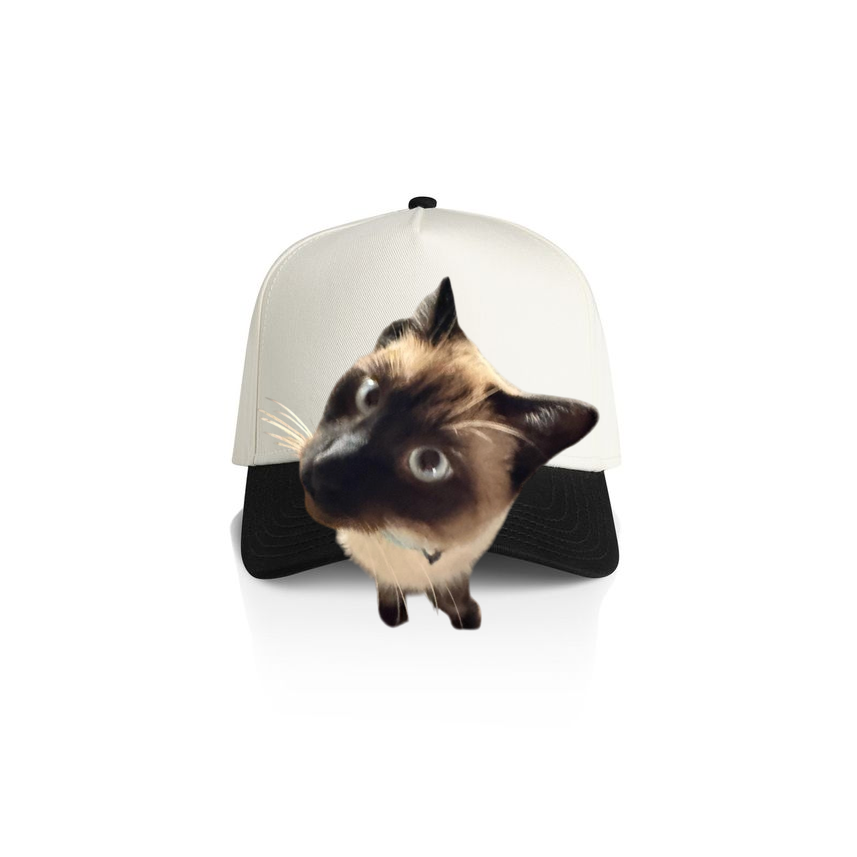 Curious Siamese Cap
