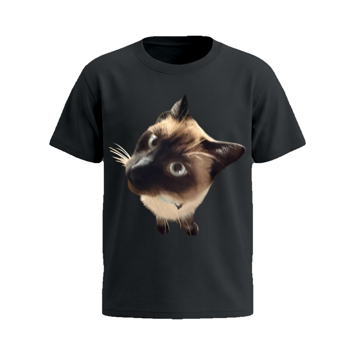 Curious Siamese Cat Tee