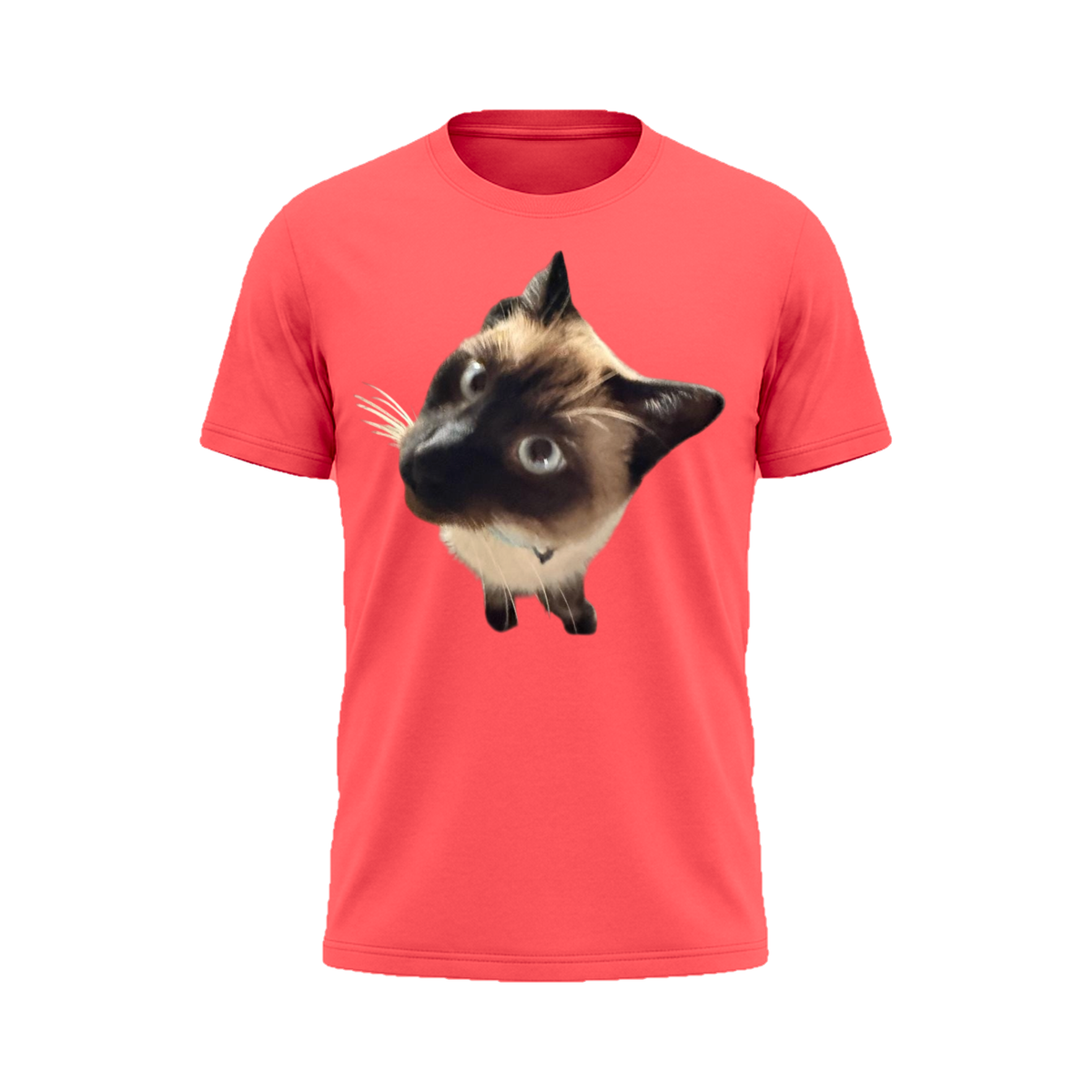 Peekaboo Siamese Tee