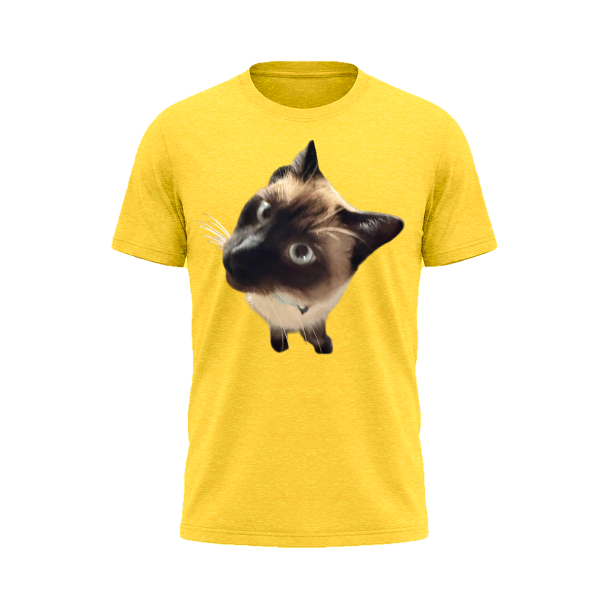 Peekaboo Siamese Tee