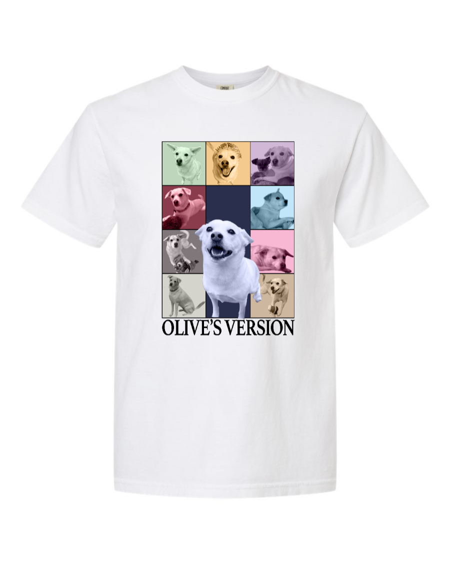 Customize Comfort Colors T-Shirt - 1717