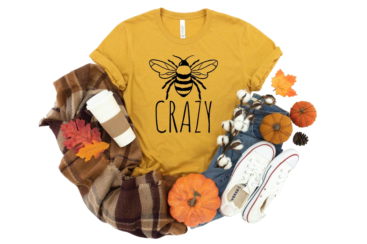 Bee Crazy Shirt, Be Crazy Shirt, Be Wild T Shirt Inspirational Shirt, Goofy TShirt, Be Kind Tee,