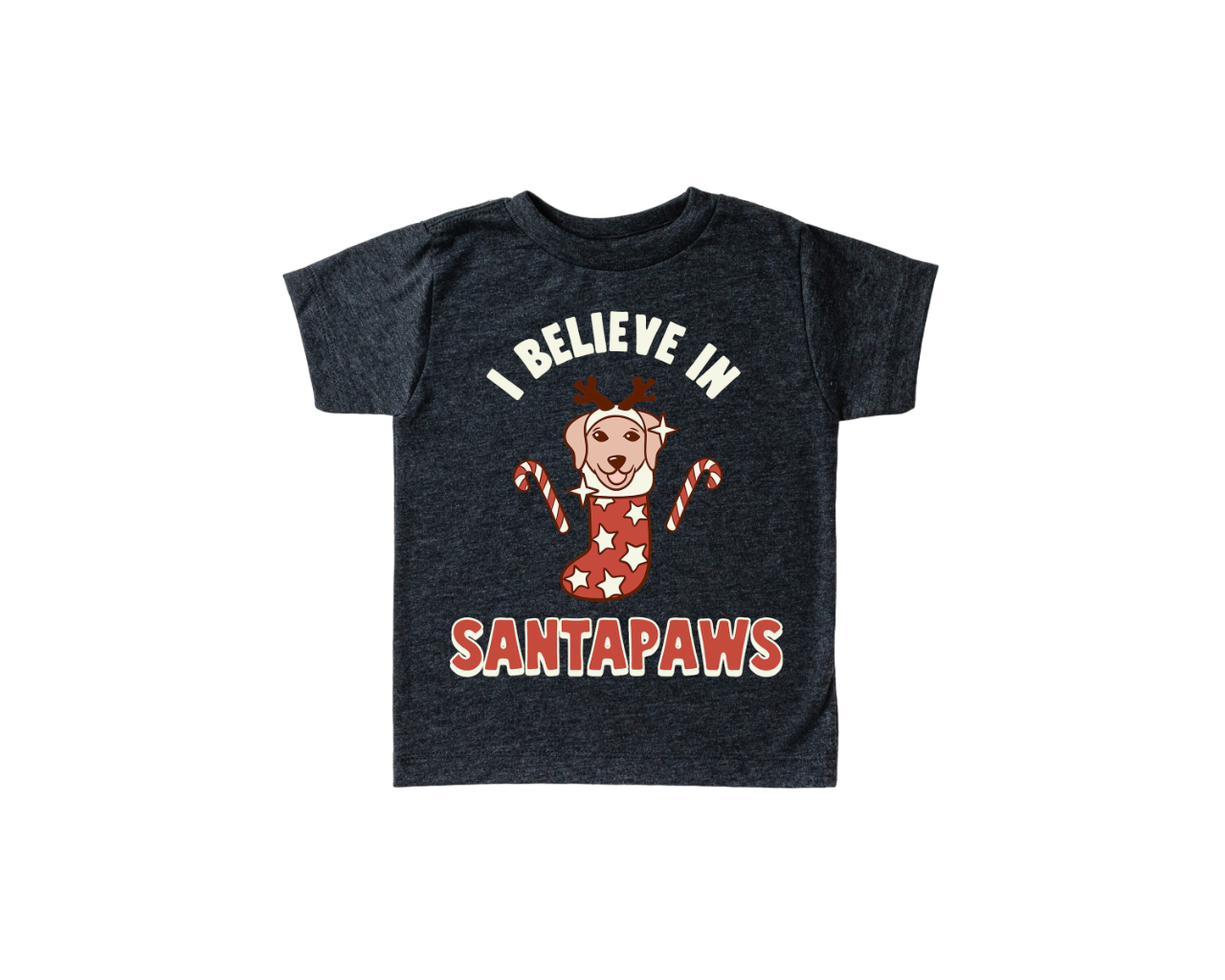 Believe in Santapaws Toddler Tee Christmas Season Shirt, Cute Holiday Girls Shirt, Toddler Youth