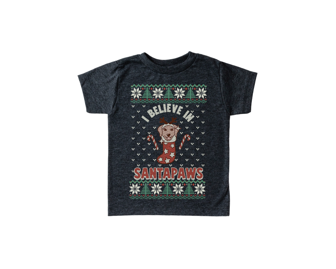 Believe in Santapaws Toddler Tee Christmas Season Shirt, Cute Holiday Girls Shirt, Toddler Youth