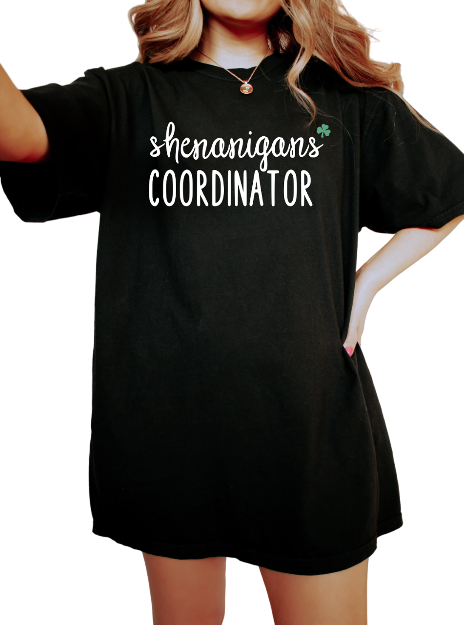 Retro St Patty's Day Vintage Washed Shirt, Shenanigans Coordinator Shirt, Vintage St Patrick's Day