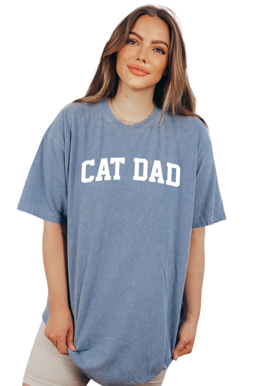 Vintage Washed Tee, Cat Dad Shirt, New Cat Dad Shirt, Proud New Kitty Daddy, Fathers Day Gift, Cat