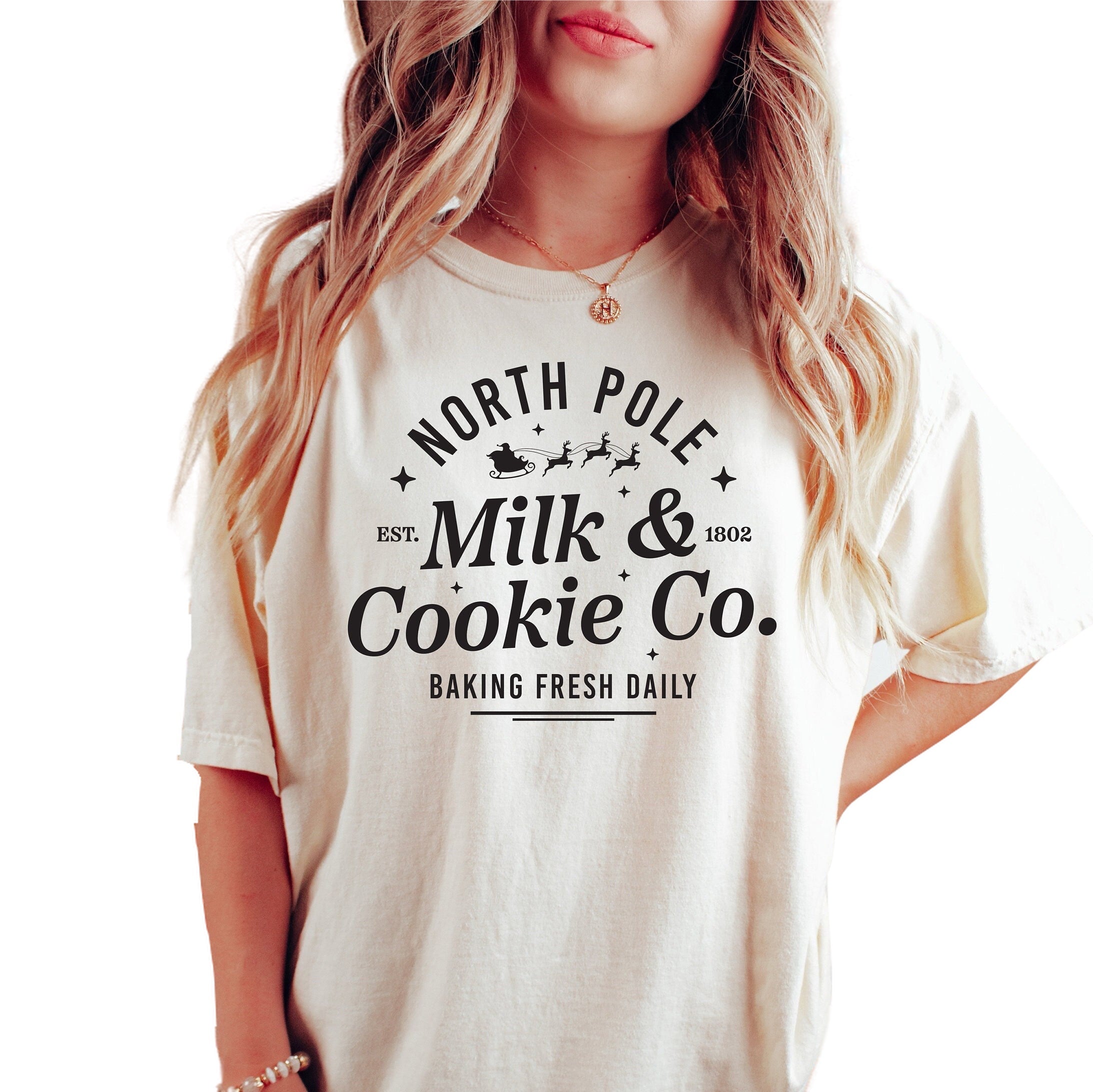 Retro Christmas Vintage Washed Shirt, Milk and Cookies Shirt, Vintage Santa Christmas Shirt, Retro