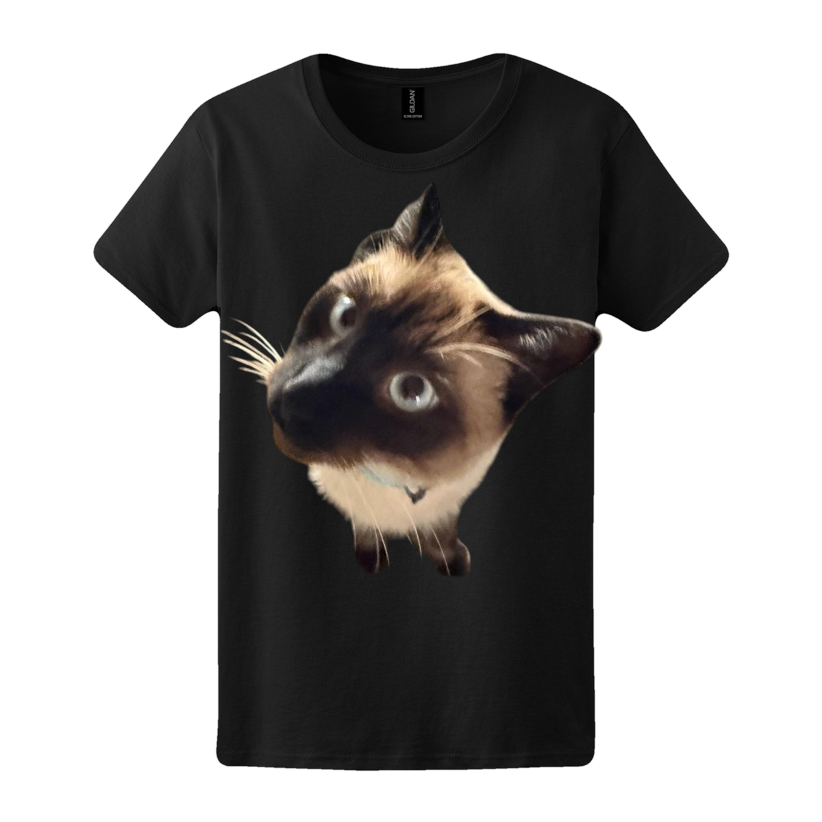 Curious Siamese Cat Tee