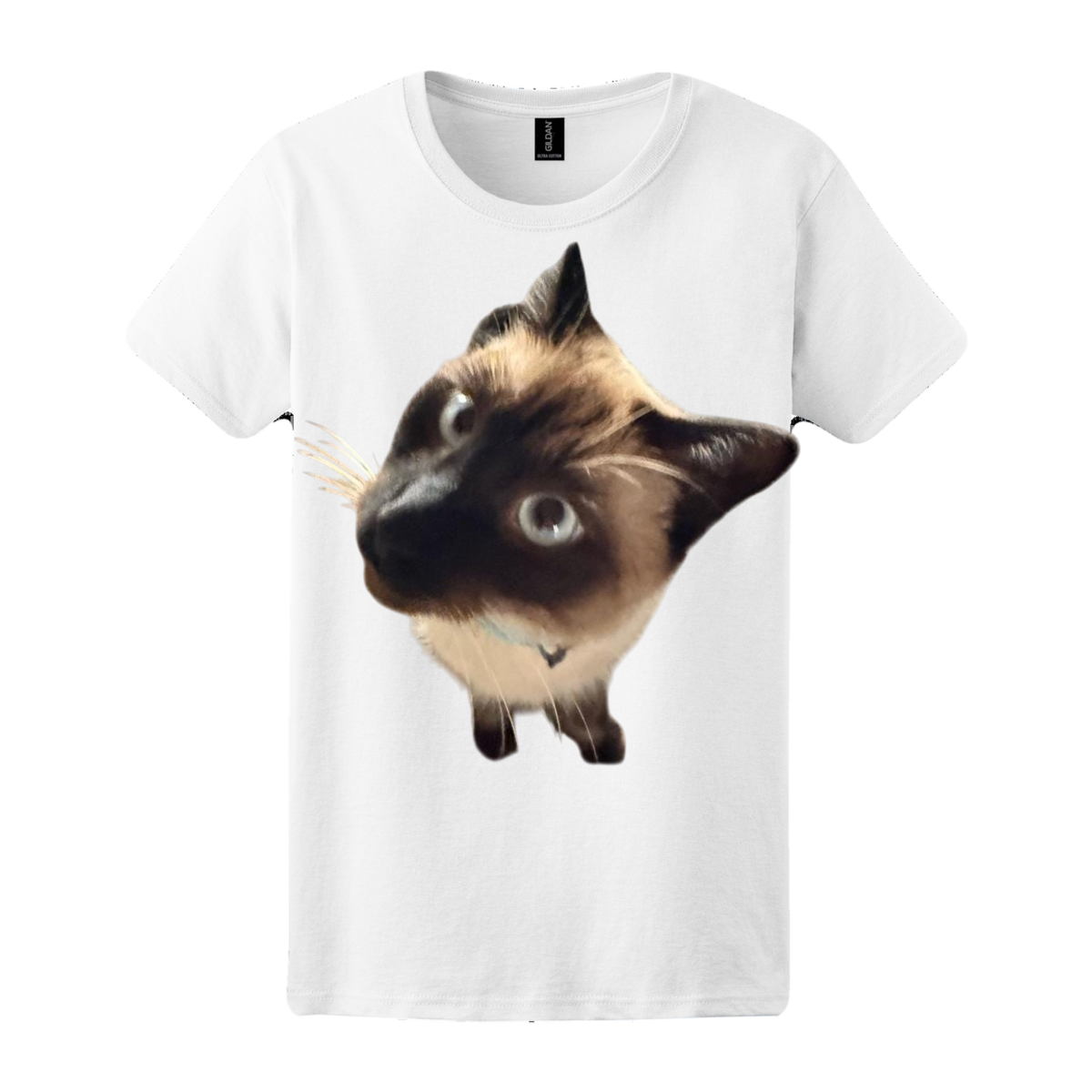 Curious Siamese Cat Tee