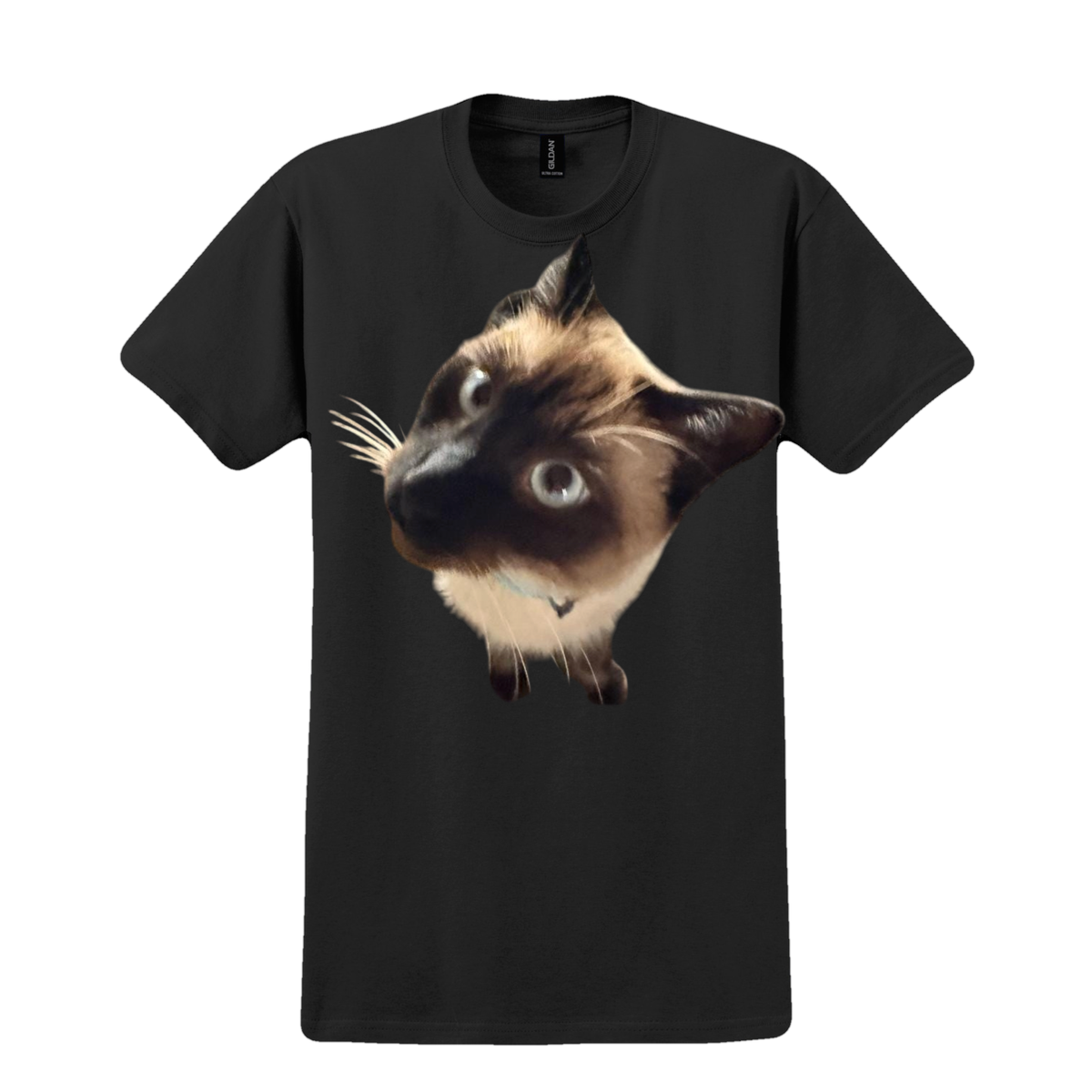 Curious Siamese Tee