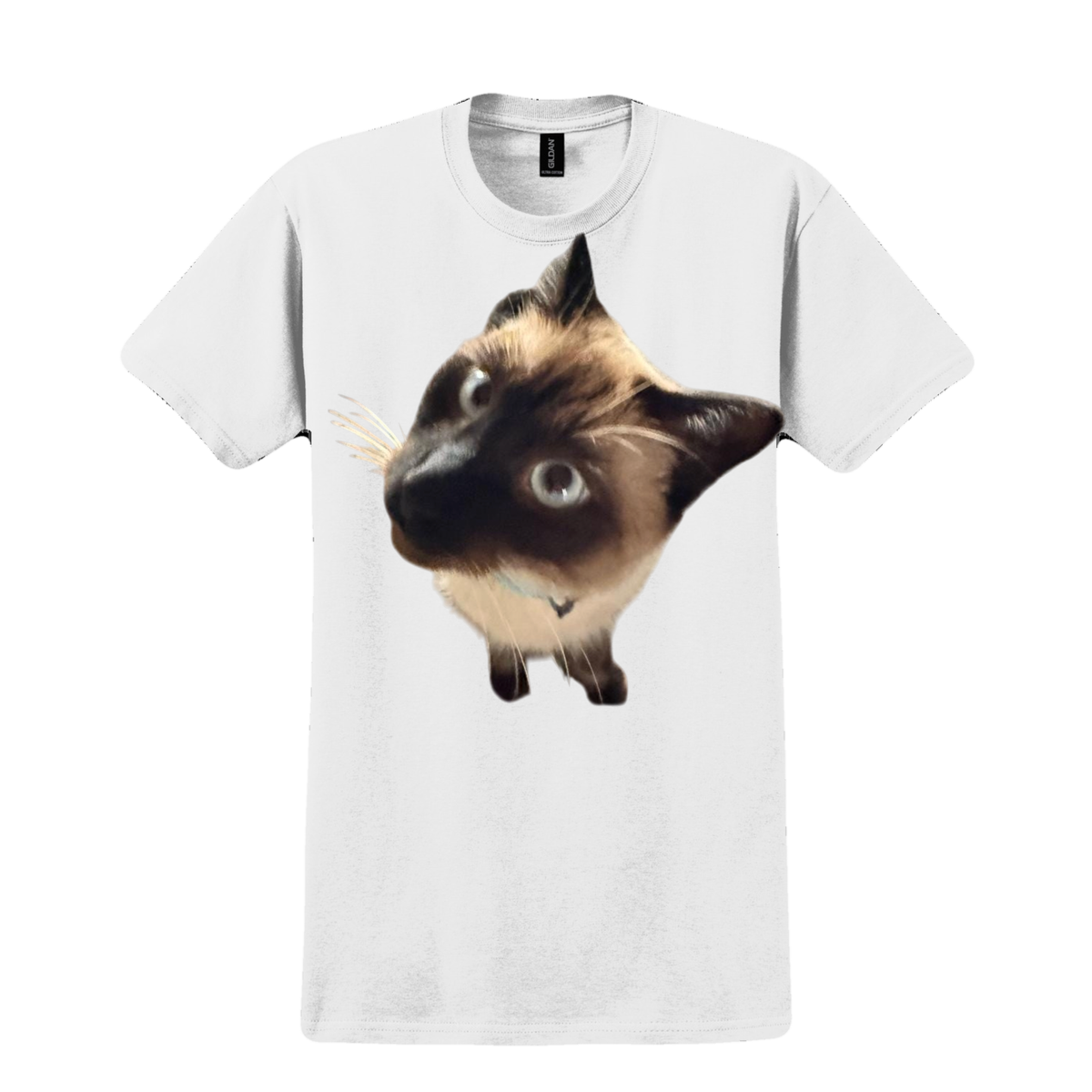 Curious Siamese Tee