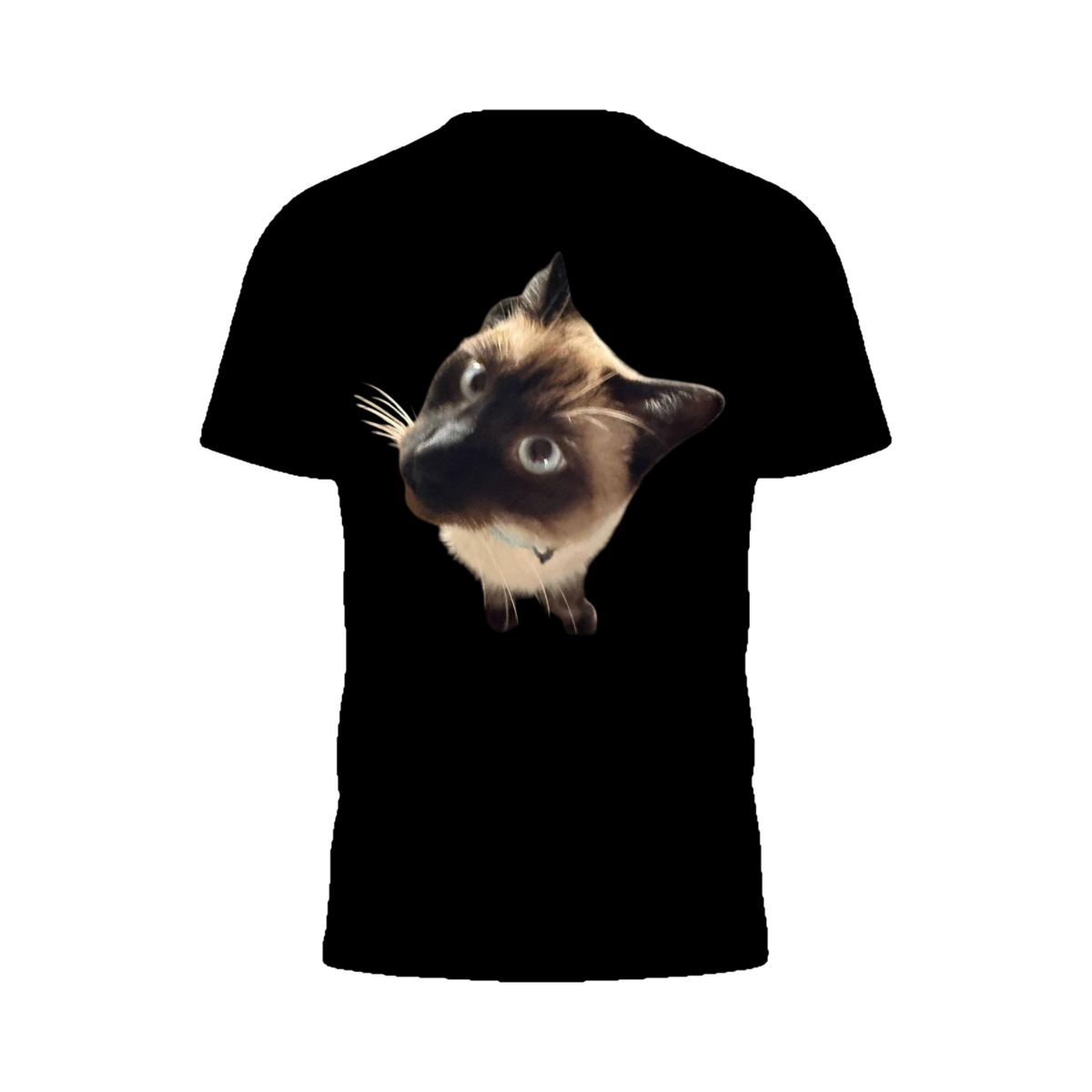 Peekaboo Siamese Tee