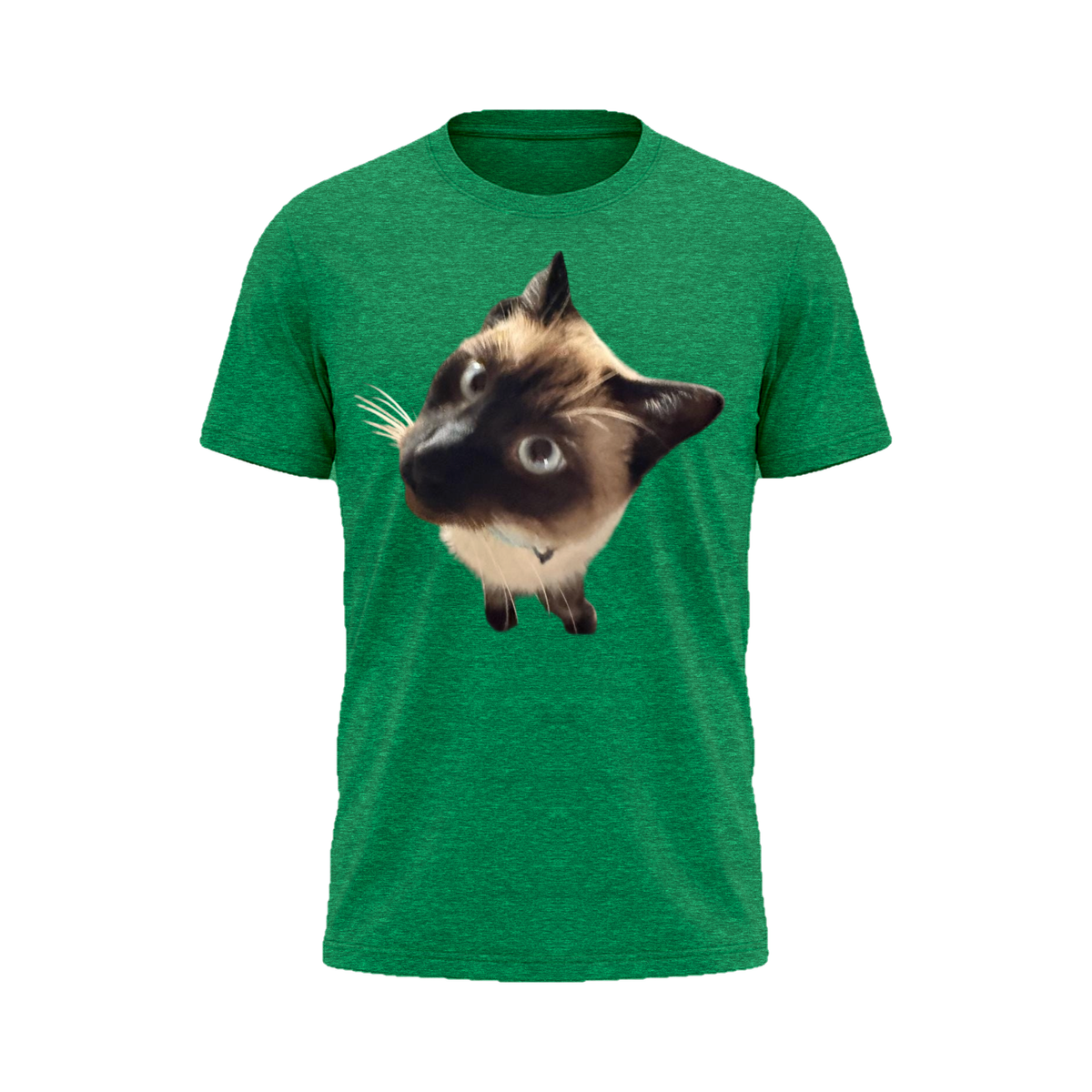 Peekaboo Siamese Tee