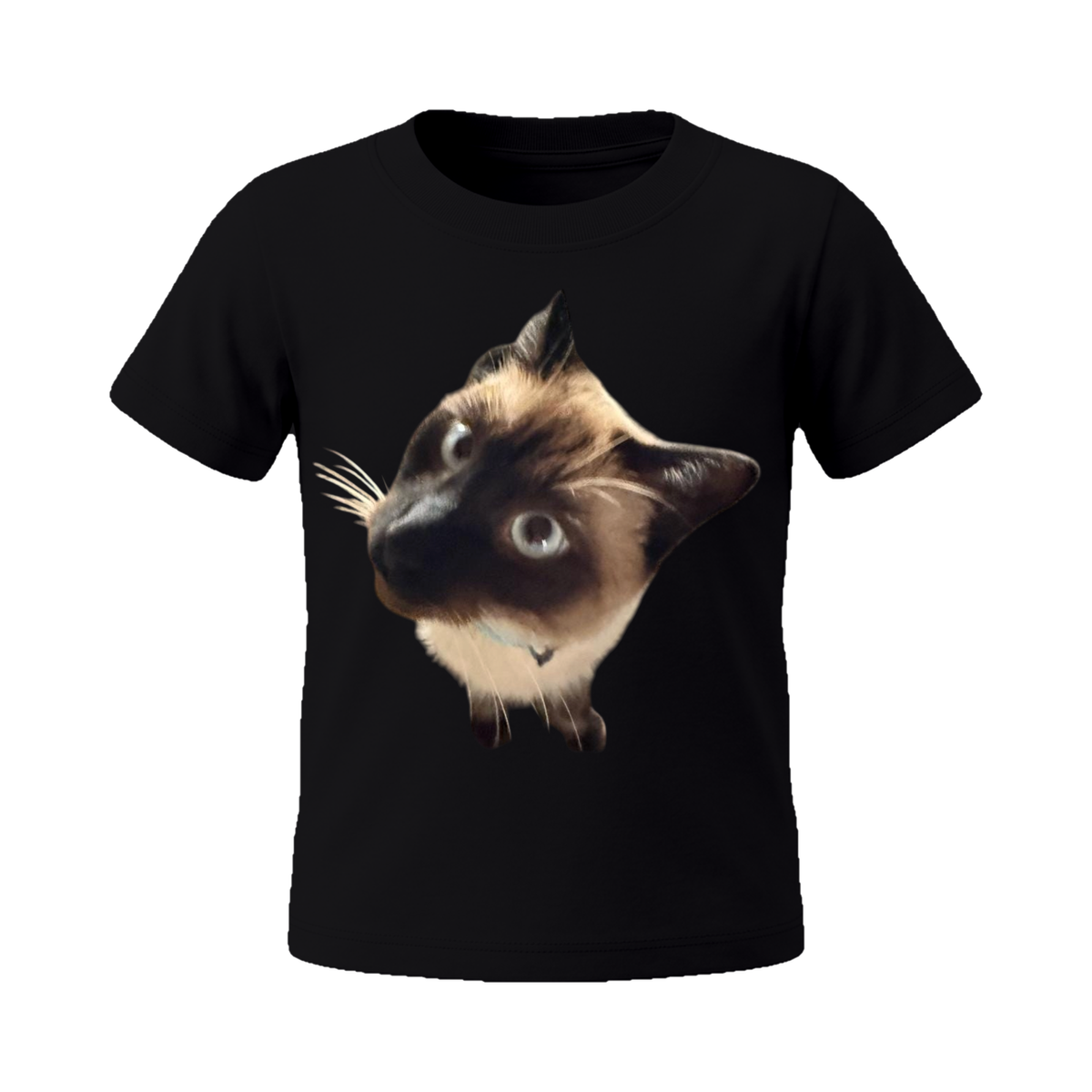 Curious Siamese Gaze Tee