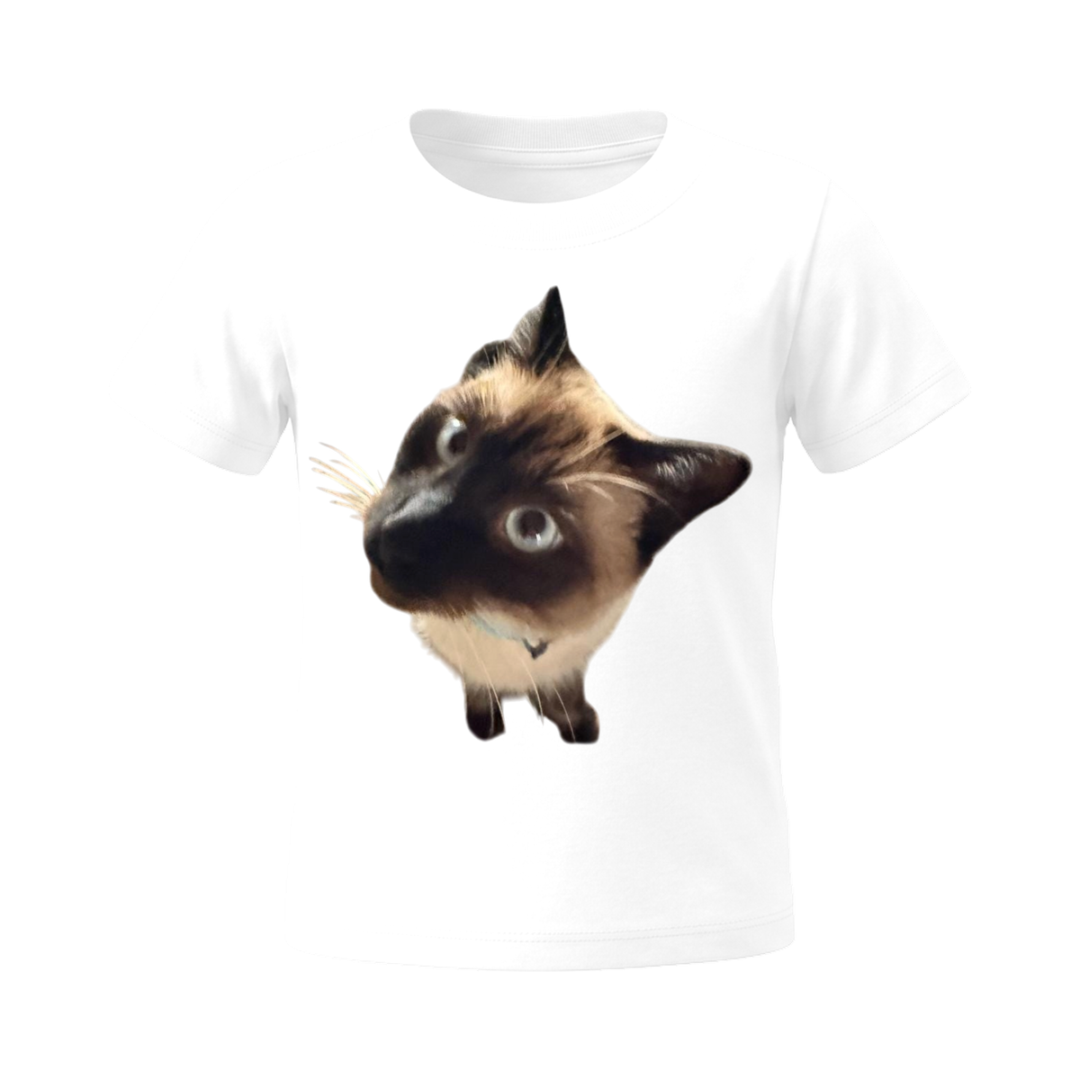 Curious Siamese Gaze Tee