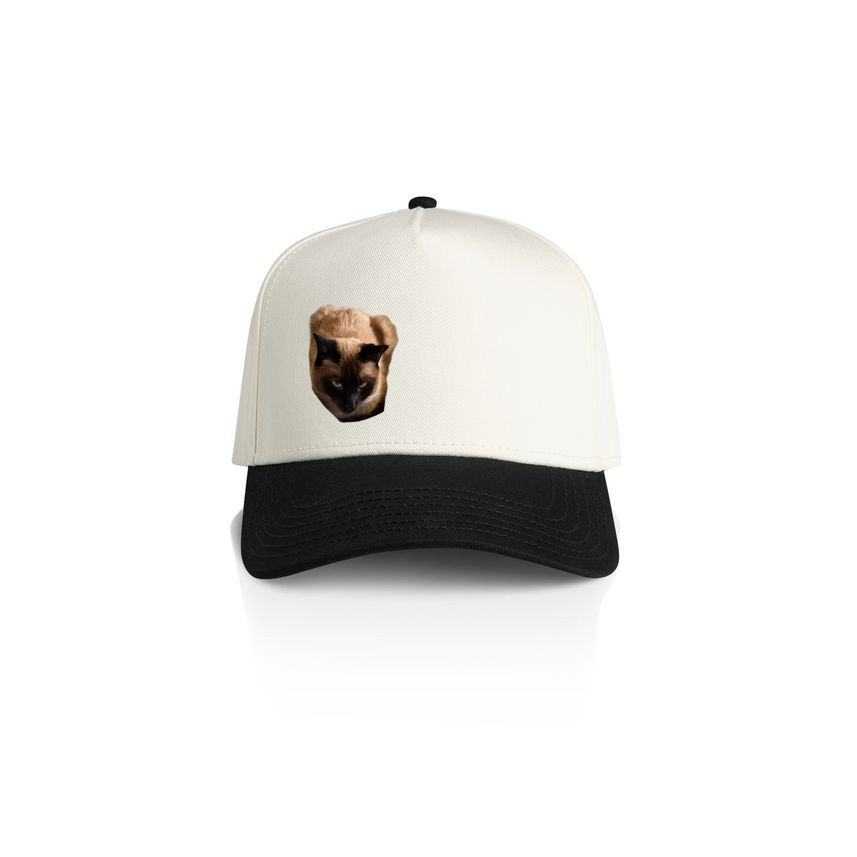 Siamese Stare Cap