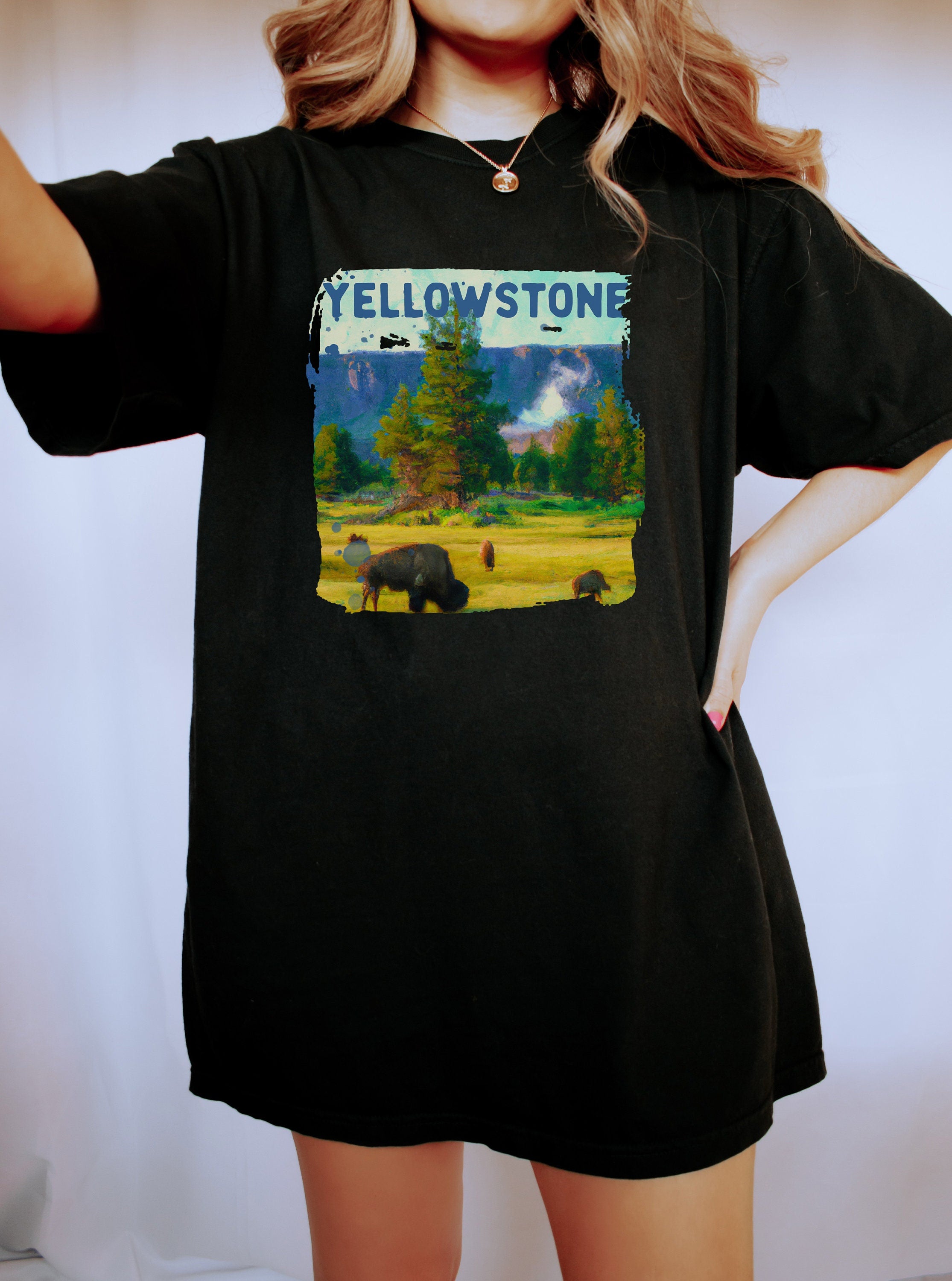 Yellowstone National Park Shirt, Retro Western Comfort Colors Shirt,  Vintage Shirt, Oversized Shirt, Retro Graphic Shirt, Distressed Tee